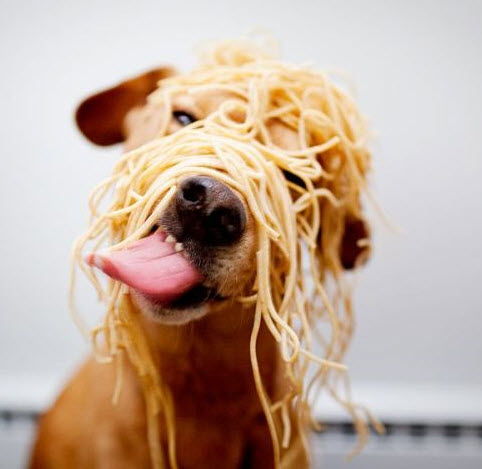 ��� ������ ������� ������?