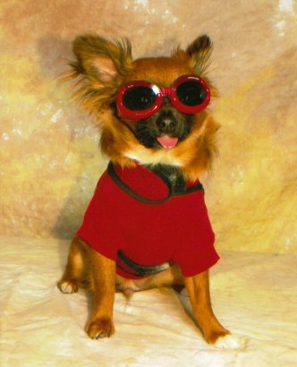 ������� �������� ����� �������� ������