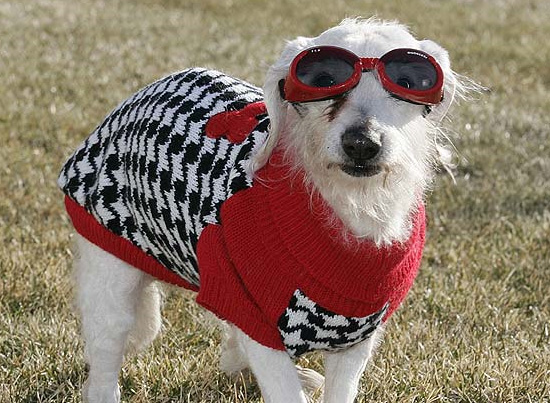 ���������� ����� ������ ������ � ����