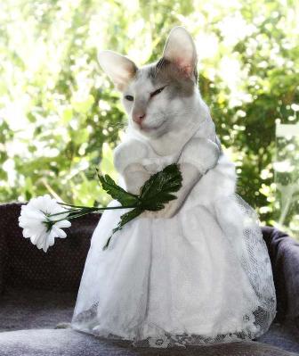 ���� � �����!