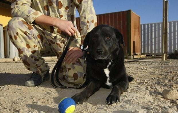 ��� ���� � � �������