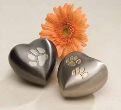 ������ ��������