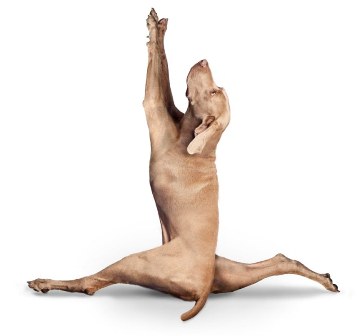 � ���� �����!