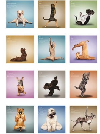 � ���� �����!