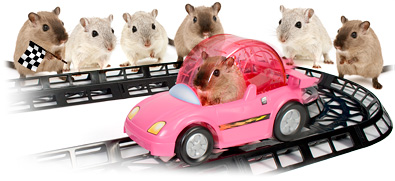 ������� �������