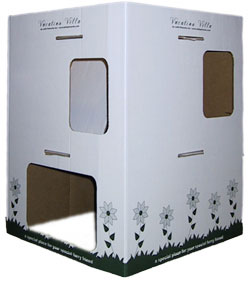 ����� ��� �������