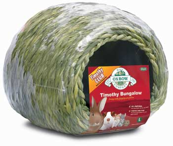 ����� ��� �������