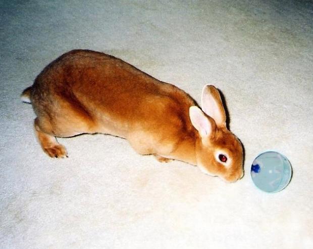 ���� � ������� ��� ��������