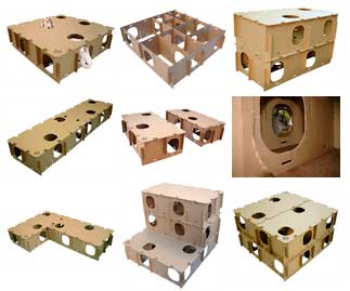 ���� � ������� ��� ��������