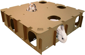 ���� � ������� ��� ��������