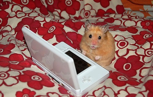 �������-�����