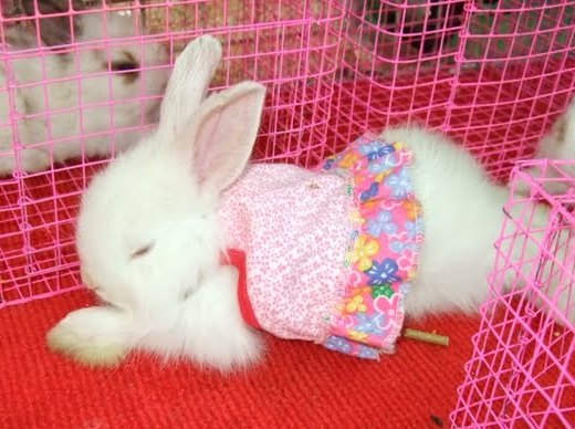 �� �������� ������!