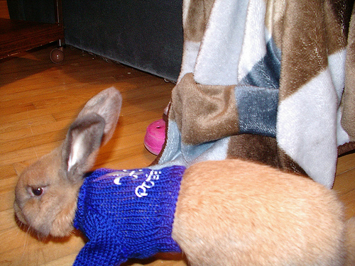 �� �������� ������!