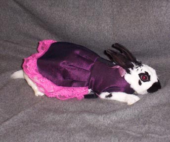 �� �������� ������!