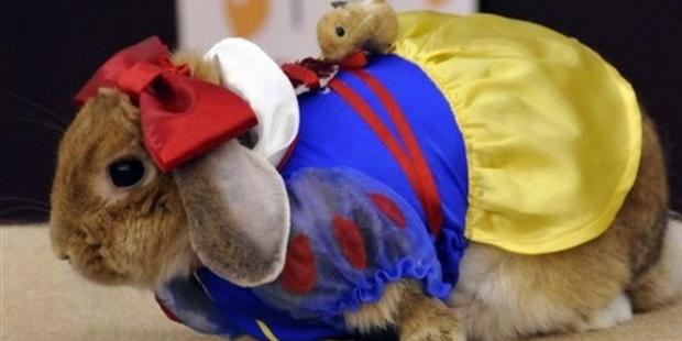 �� �������� ������!