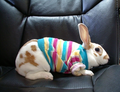 �� �������� ������!