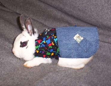 �� �������� ������!