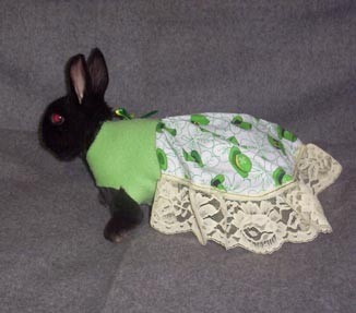 �� �������� ������!