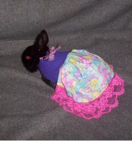 �� �������� ������!