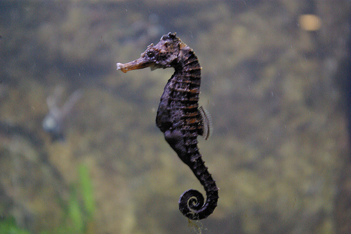 ���������� ���� � ���������