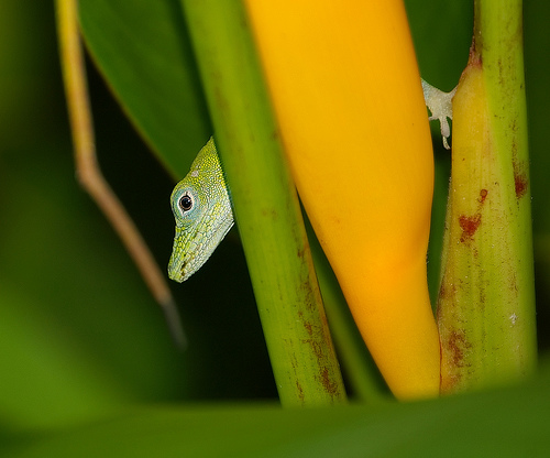 ��������� ������ ������