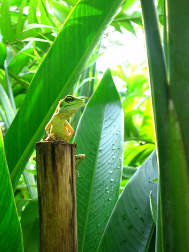 ��������� ������ ������