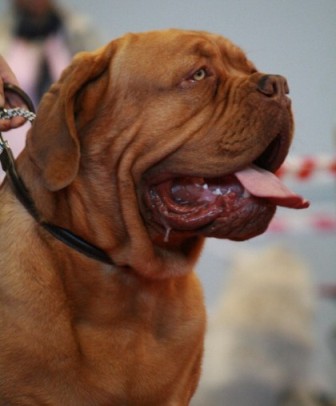 �������, ���!