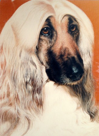 ����� ��� ������ � ������