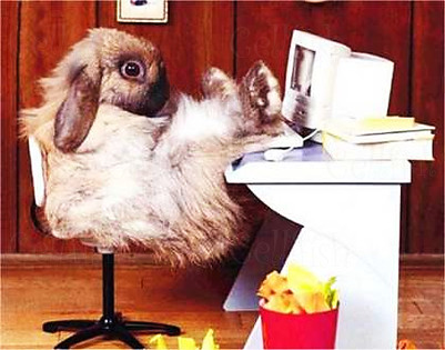 ��� ��������, �� �������� ���