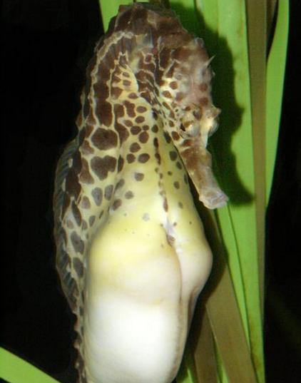 ���������� ���� � ���������