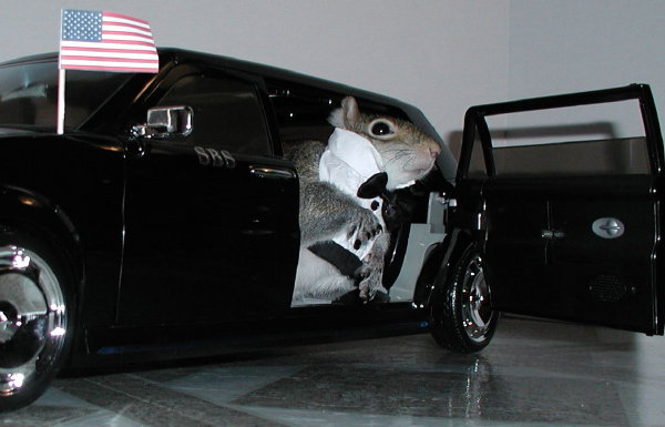 ����� � �����������!