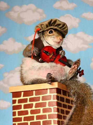 ����� � �����������!