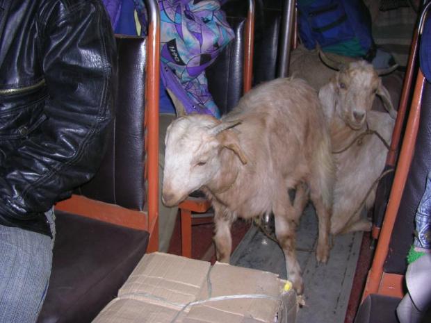 ����������� �� �������