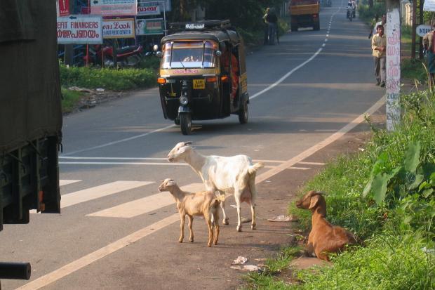 ����������� �� �������