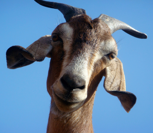 �������� � �������