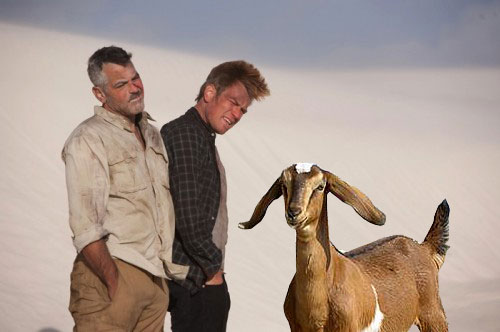 �������� � �������