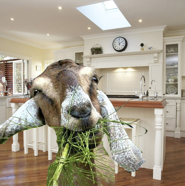 �������� � �������