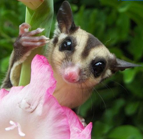 �������� ��������