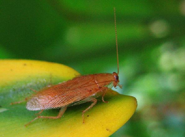 �� �����, ��� �����������