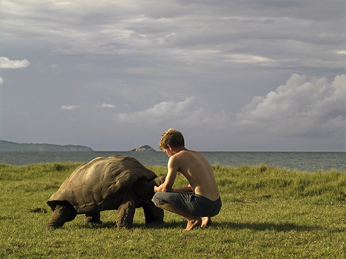 Самца-то я и не приметил Самца-то я и не приметил