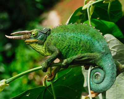 �������� � �������� ������