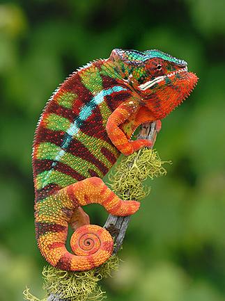 �������� � �������� ������