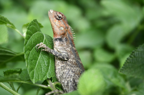 �������� � �������� ������