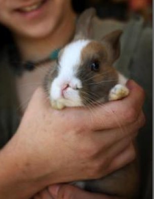 ��� ���� - �� ����!