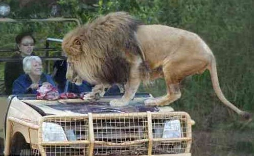 ��������� ������