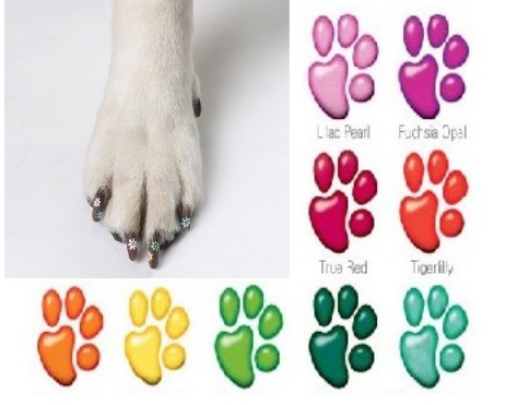 ��������� �����