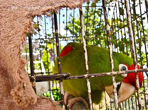 �������� ���� ��� ������