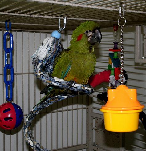 �������� ���� ��� ������