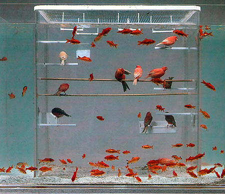 �������� ��� ��� � ����