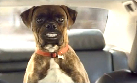 � �� ��������� ��������� �������?